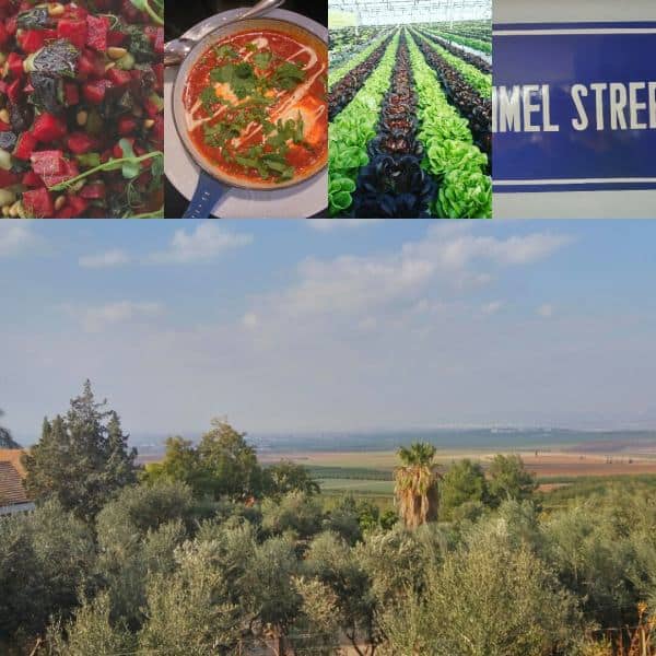 מראות מטעמים בעמקים (צילום דני בר)