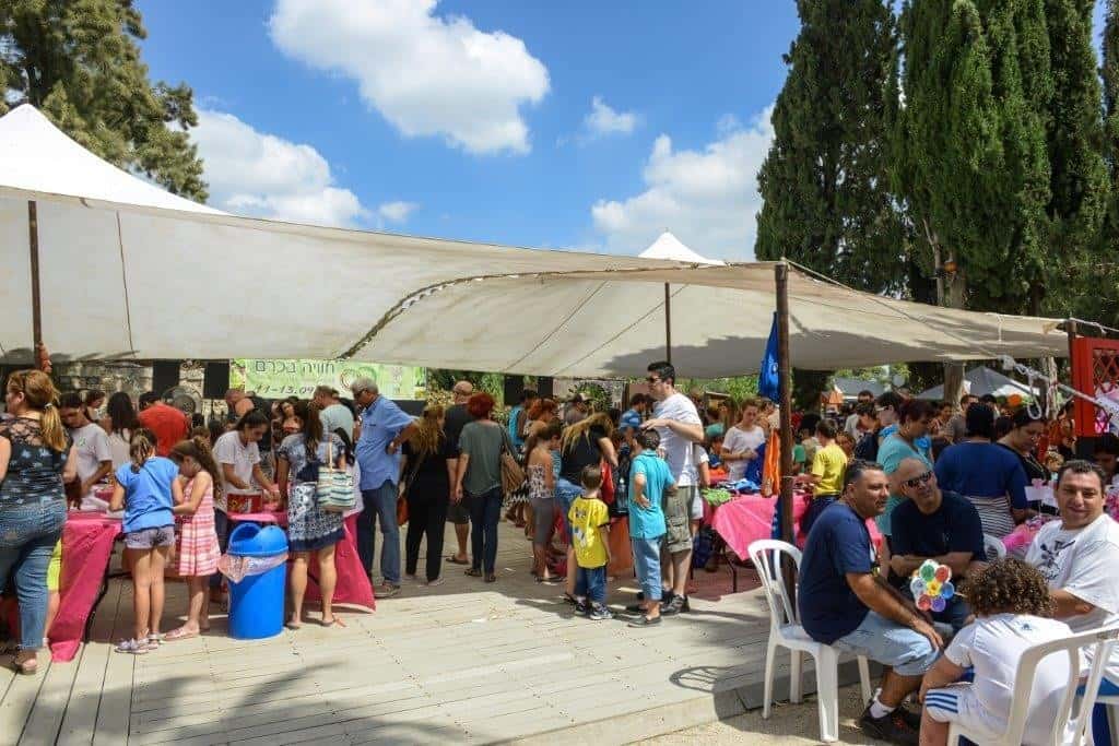סטיבל-חויה-בכרם-במועצה-אזורית-גזר (צילום-ניר-שמול)